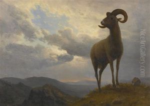 Bighorn Sheep by Albert Bierstadt