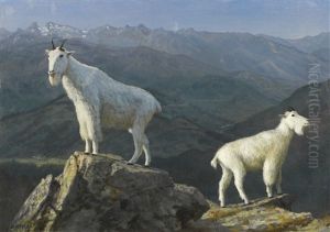 Mountain Goats by Albert Bierstadt