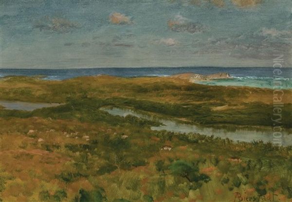 On The Pacific Coast, 1863 - view 1