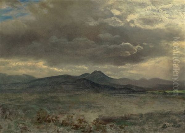 Cloud Study In San Francisco, 1873 - view 1