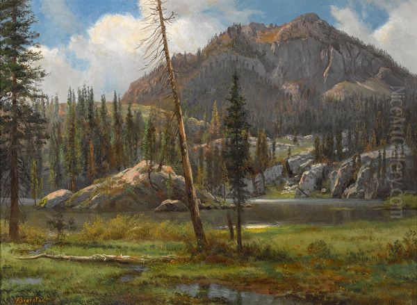 Southern Sierra Nevada Mountains - view 1