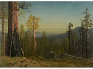 View Through The Trees by Albert Bierstadt