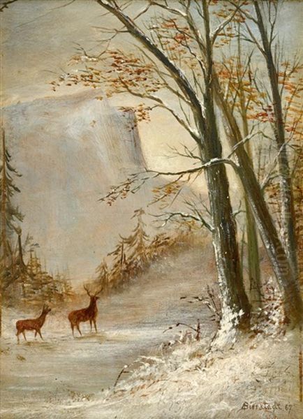 Deer In Snow - view 1