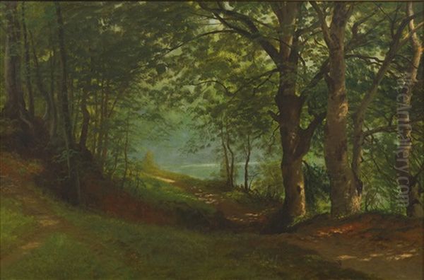 Path By A Lake In A Forest - view 1