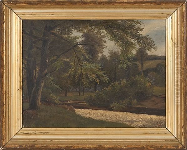 A Forest Stream - view 1