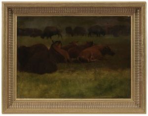 Buffalo Resting by Albert Bierstadt