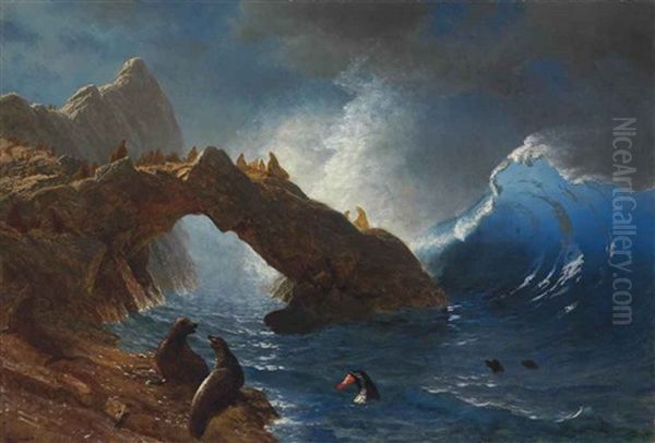 Seals On The Rocks - view 1