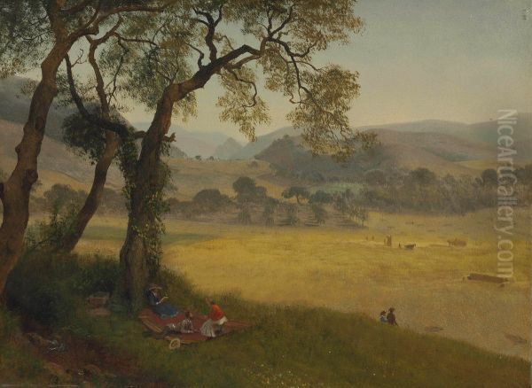 A Golden Summer Day Near Oakland - view 1