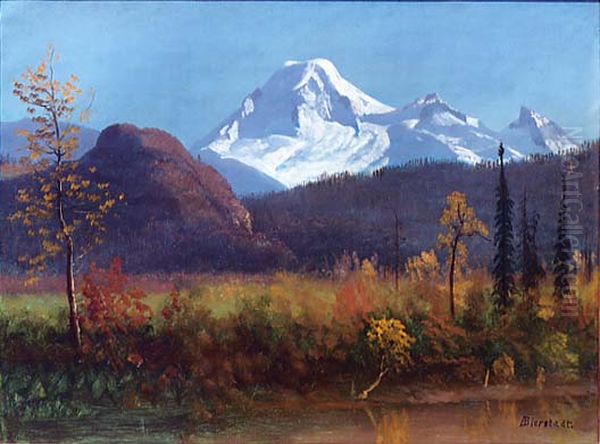 Mt. Baker From The Fraser River - view 1