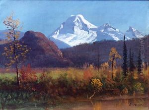Mt. Baker From The Fraser River