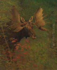 A Moose (study)