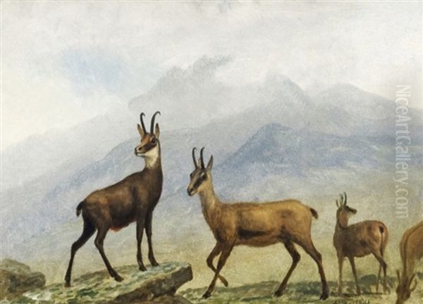 Chamois, Switzerland - view 1