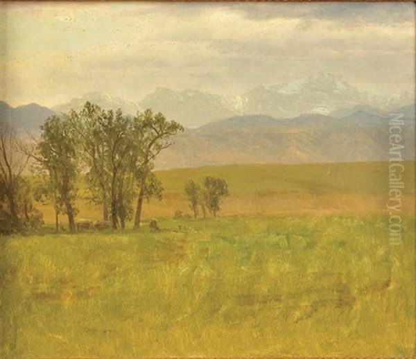 Colorado Scene - view 1