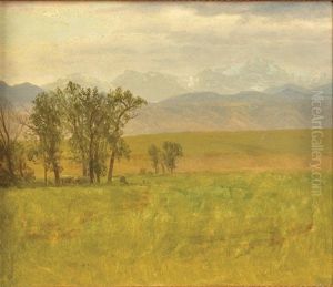 Colorado Scene