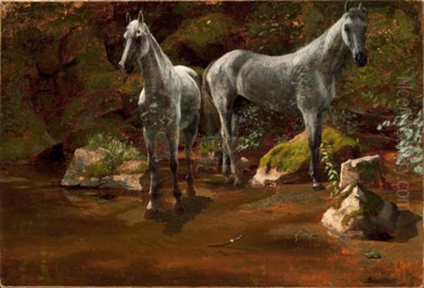 Wild Horses (study) - view 1