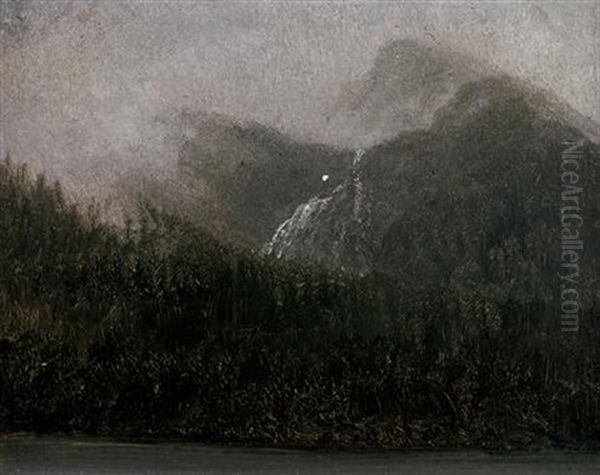 Mountain Tops And Firs - view 1