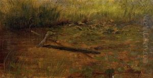 Study Of Water Lillies by Albert Bierstadt