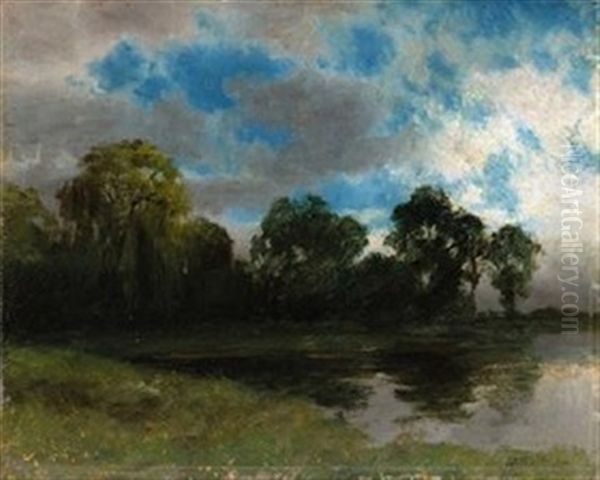 Trees Along A Riverbank - view 1