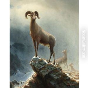 Rocky Mountain, Big Horn Sheep by Albert Bierstadt