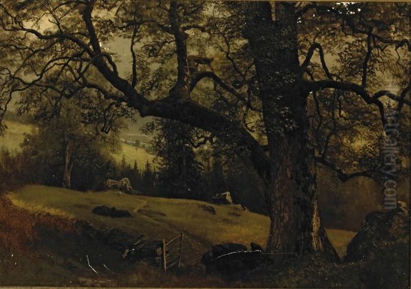 A Trail Through The Trees - view 1