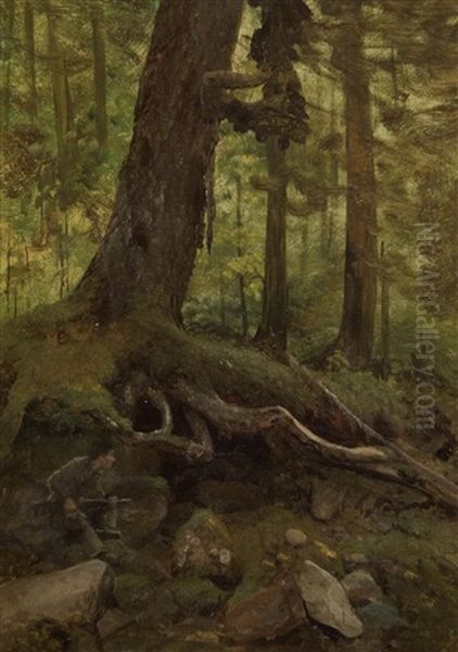 Hunter In The White Mountains Near Glen House - view 1