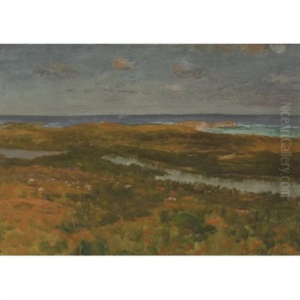 Salt Marsh At Twilight - view 1