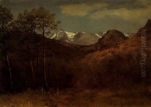 Grassy Hills With Snow Capped Mountains Beyond - view 1