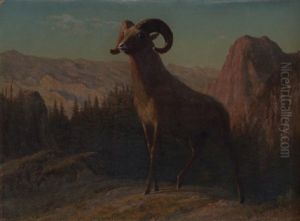 A Rocky Mountain Sheep by Albert Bierstadt