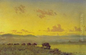 Buffalo Herd by Albert Bierstadt
