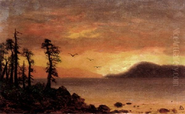 Alaska Sunset - view 1
