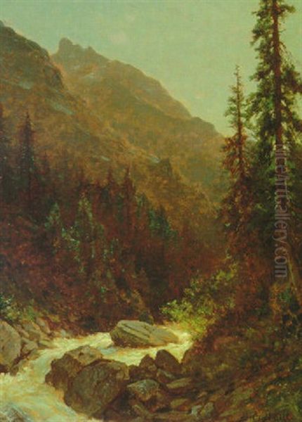 Rocky Mountain Stream - view 1