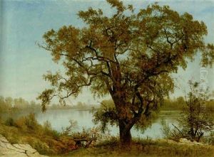 A View Of Sacramento by Albert Bierstadt