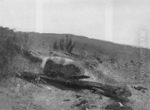Rock And Log On A Hilltop - view 1