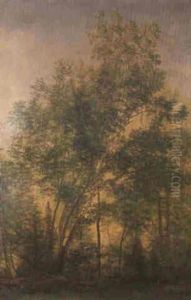 Trees Trees
