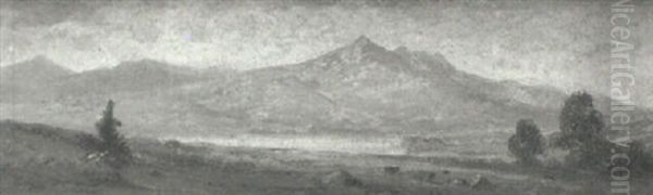 Mountain Pasture - view 1