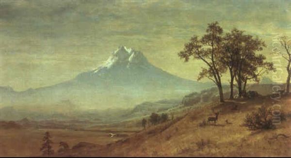 Mt. Hood - view 1