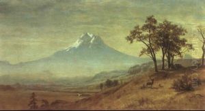 Mt. Hood