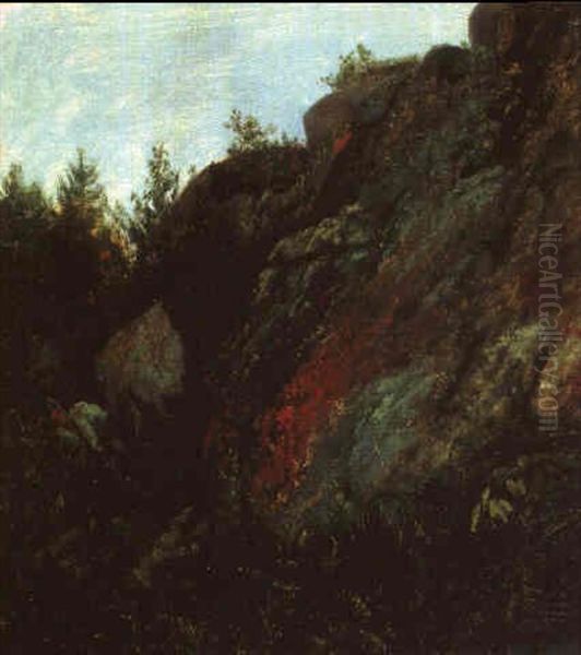 Trees, Rocks, And Moss - view 1