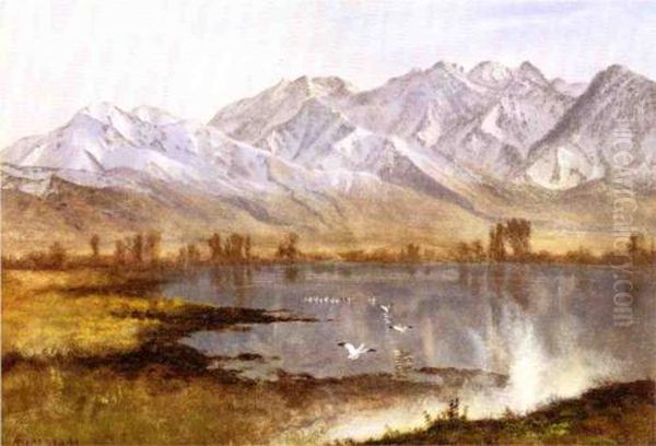 Wasatch Mountains, Utah - view 1