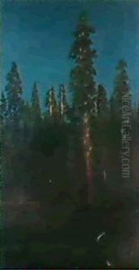 Pine Forest by Albert Bierstadt