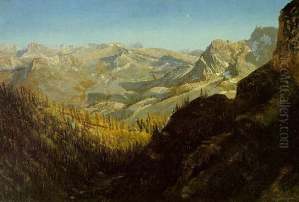Sierra Nevada Mountains, California - view 1