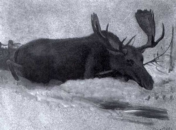 Moose In The Snow - view 1