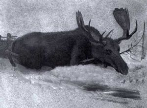 Moose In The Snow by Albert Bierstadt