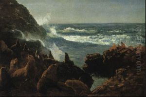 Sea Lions, Farallon Islands by Albert Bierstadt