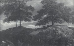 Cows Grazing
