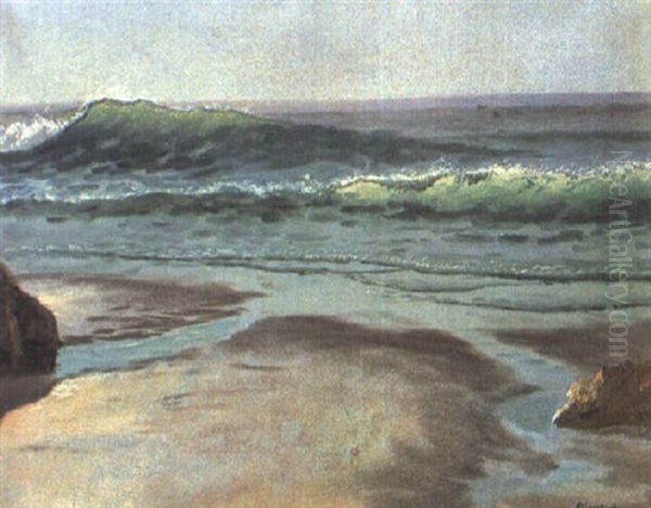Pacific Coast - view 1