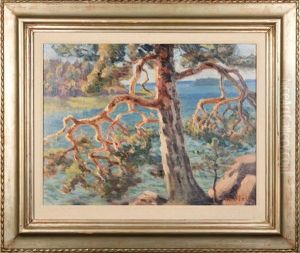 Pine Tree by Helmi Ahlman Biese