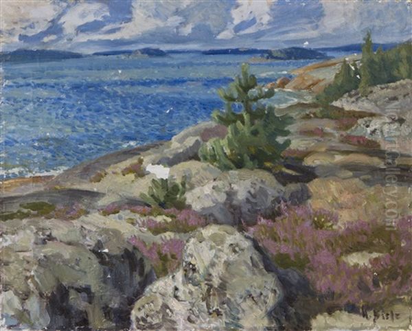 Rocky Shore - view 1