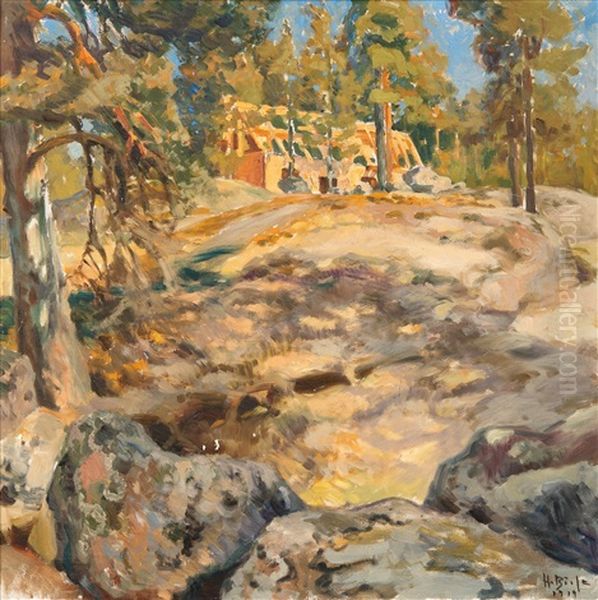 Forest View - view 1