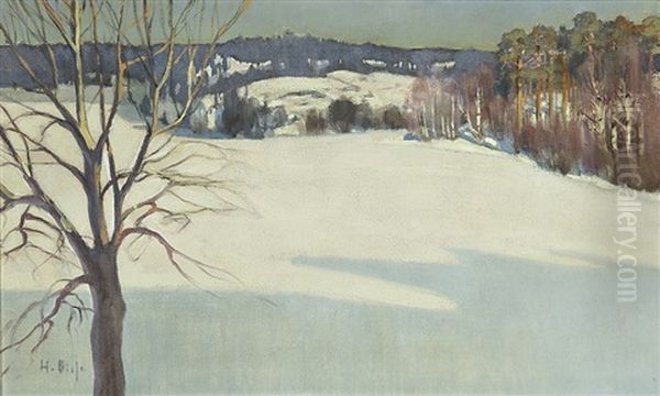 Winter - view 1